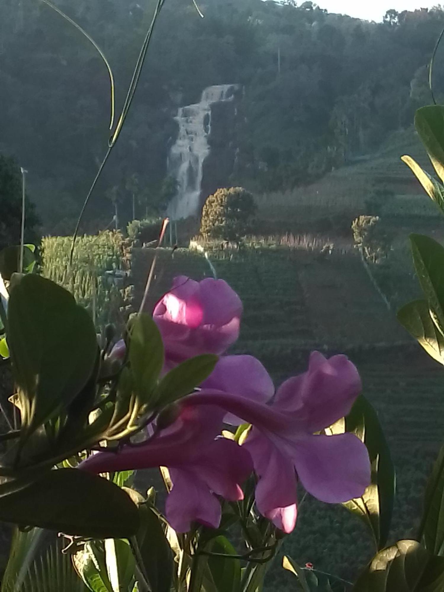 Cascade Vally Ella Εξωτερικό φωτογραφία